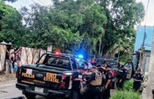Aseguran más de 10 escopetas y carne de venado y jabalí durante operativo en Ticul