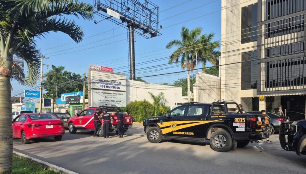 Capturan a perro tras ataques a varias personas en la colonia Maya; SSP busca al propietario