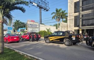 Capturan a perro tras ataques a varias personas en la colonia Maya; SSP busca al propietario