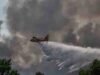 Devastador incendio arrasa el bosque de Fontainebleau; autoridades francesas investigan posible acto intencional