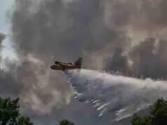 Devastador incendio arrasa el bosque de Fontainebleau; autoridades francesas investigan posible acto intencional