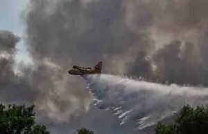 Devastador incendio arrasa el bosque de Fontainebleau; autoridades francesas investigan posible acto intencional