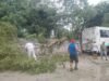Tormenta deja sin electricidad a Buctzotz y provoca caída de árboles en distintos sectores