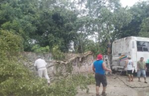 Tormenta deja sin electricidad a Buctzotz y provoca caída de árboles en distintos sectores