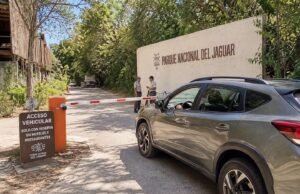 Acceso gratuito al Parque del Jaguar mantiene restricciones para automovilistas; sin reservación, no hay entrada vehicular