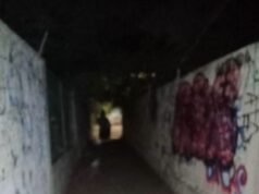 Vecinos del Roble Agrícola exigen alumbrado ante creciente sensación de inseguridad