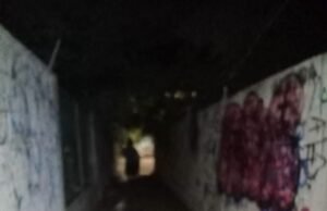 Vecinos del Roble Agrícola exigen alumbrado ante creciente sensación de inseguridad