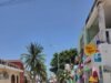 Indignación en Celestún por tala de palmeras en acceso a la playa; ciudadanos piden investigar