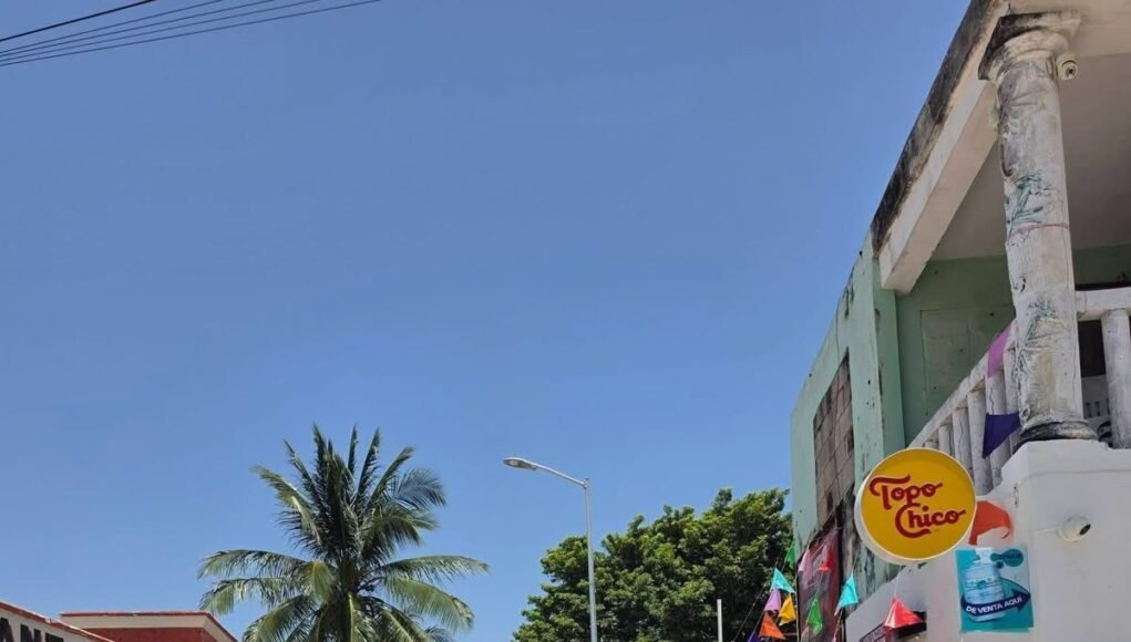 Indignación en Celestún por tala de palmeras en acceso a la playa; ciudadanos piden investigar