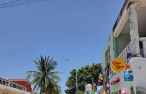 Indignación en Celestún por tala de palmeras en acceso a la playa; ciudadanos piden investigar