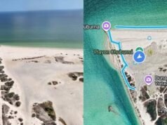 Crece respaldo ciudadano para conservar las Dunas de Chuburná; petición rebasa las 19 mil firmas