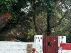 Adulto mayor en Umán arriesga la vida entre banquetas rotas para llegar al Seguro Social