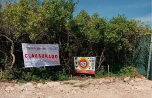 Profepa suspende obras de desarrollo inmobiliario en Chuburná; investigan posible afectación a dunas costeras