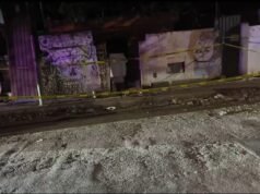 Investigan presunto envenenamiento masivo de perros en colonia de Mérida; vecinos piden castigo a responsables