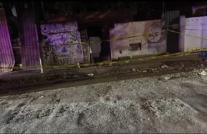 Investigan presunto envenenamiento masivo de perros en colonia de Mérida; vecinos piden castigo a responsables