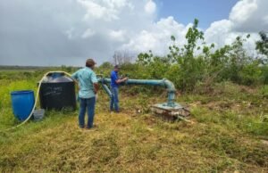 Conagua abre programa de regularización de concesiones de agua; trámite será gratuito durante un año