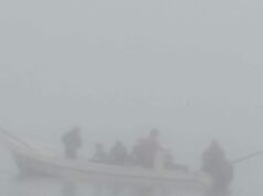 Pescadores denuncian saqueo del pulpo en Dzilam de Bravo; acusan uso de cloro y pesca furtiva