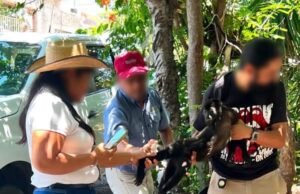 Rescatan en Chiapas a mono saraguato que habría sido víctima del tráfico ilegal de fauna