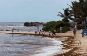 Sargazo pone en jaque al turismo de Tulum; reportan desplome en ocupación hotelera