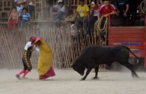 Convocan en Mérida a movilización contra la tauromaquia y las corridas de toros