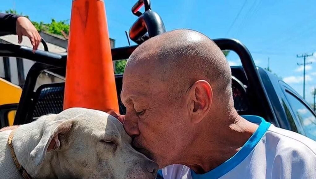 Una despedida entre lágrimas: dueño entrega a su perro tras ataque en la Bojórquez