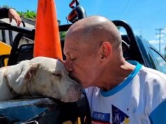 Una despedida entre lágrimas: dueño entrega a su perro tras ataque en la Bojórquez