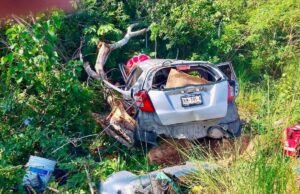 Spark termina contra un árbol en la Mérida-Cancún; un pasajero queda atrapado