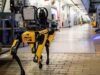 ICE busca gastar 2 millones de dólares en perros robot para operativos de riesgo