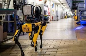 ICE busca gastar 2 millones de dólares en perros robot para operativos de riesgo