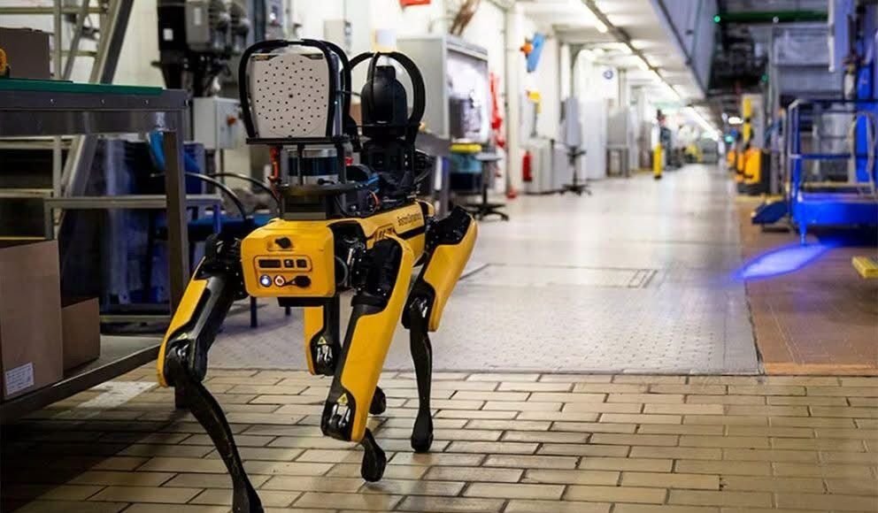 ICE busca gastar 2 millones de dólares en perros robot para operativos de riesgo