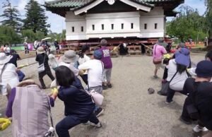 A puro músculo! 1,800 personas mueven un castillo de 360 toneladas en Japón