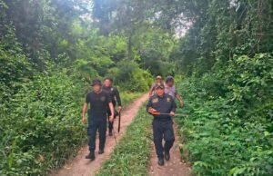 Rescatan a hombre de 84 años tras perderse en el monte de Tizimín
