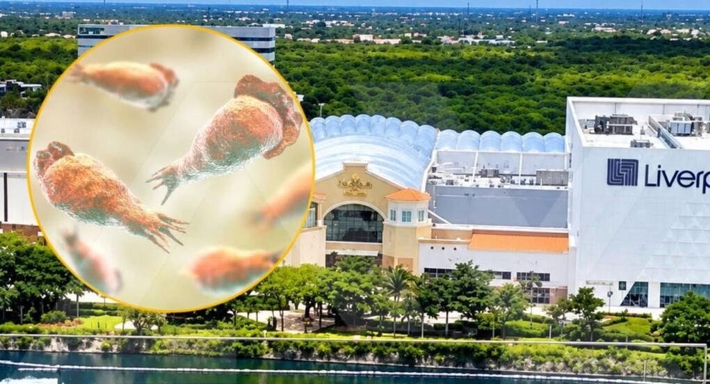 Muere en Mérida hombre de 34 años con diagnóstico probable de “ameba comecerebros”
