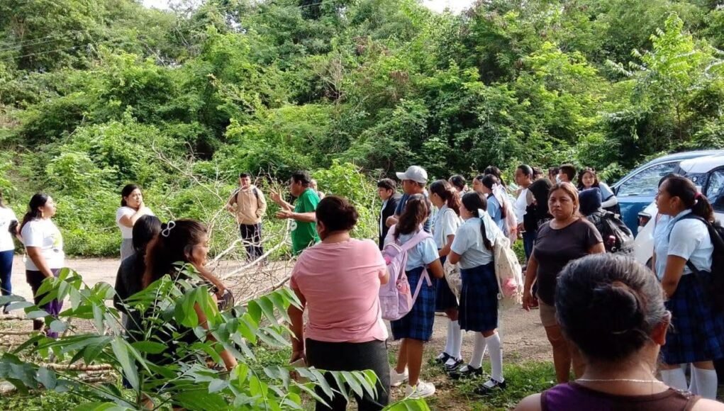 Habitantes de Tiholop cierran carretera por fallas de la CFE
