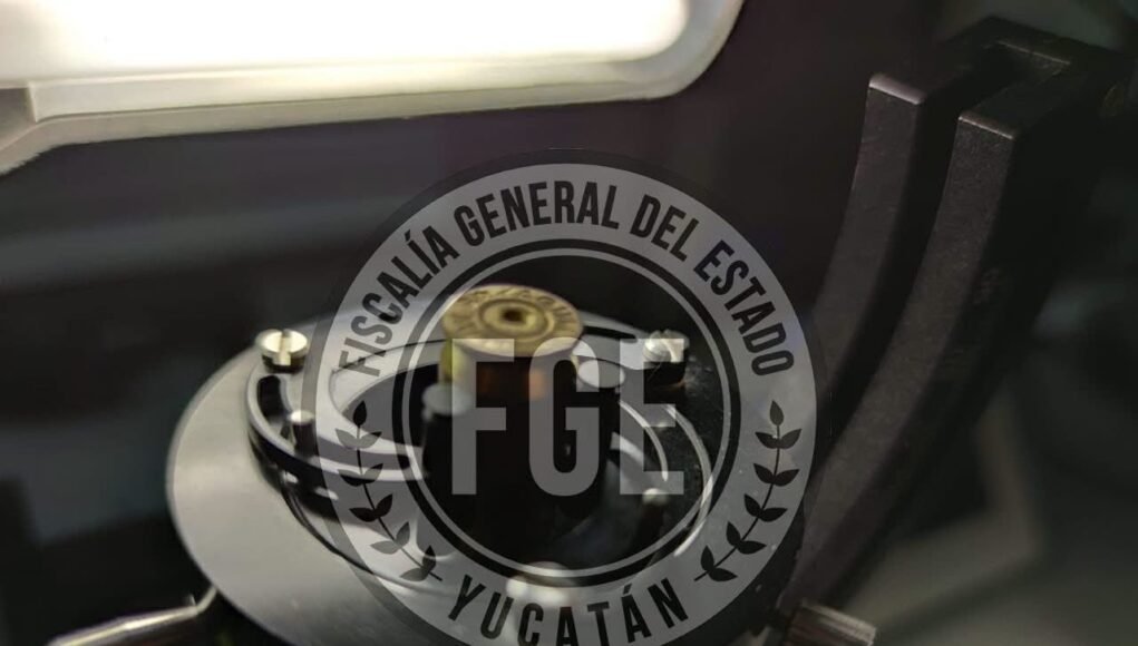Vinculan a proceso a hombre acusado de crueldad animal en Mérida