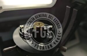 Vinculan a proceso a hombre acusado de crueldad animal en Mérida