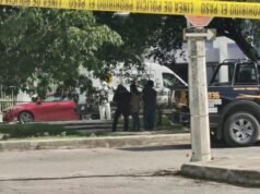 Ataque de abejas en Brisas termina en tragedia y moviliza a cuerpos de emergencia en Mérida