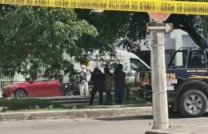 Ataque de abejas en Brisas termina en tragedia y moviliza a cuerpos de emergencia en Mérida