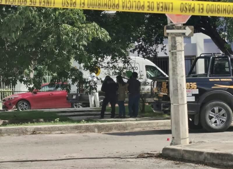 Ataque de abejas en Brisas termina en tragedia y moviliza a cuerpos de emergencia en Mérida