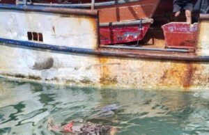 Encuentran a mujer de 62 años sin vida en el puerto de abrigo de Yucalpetén